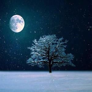 Meet your Posher, Skipper